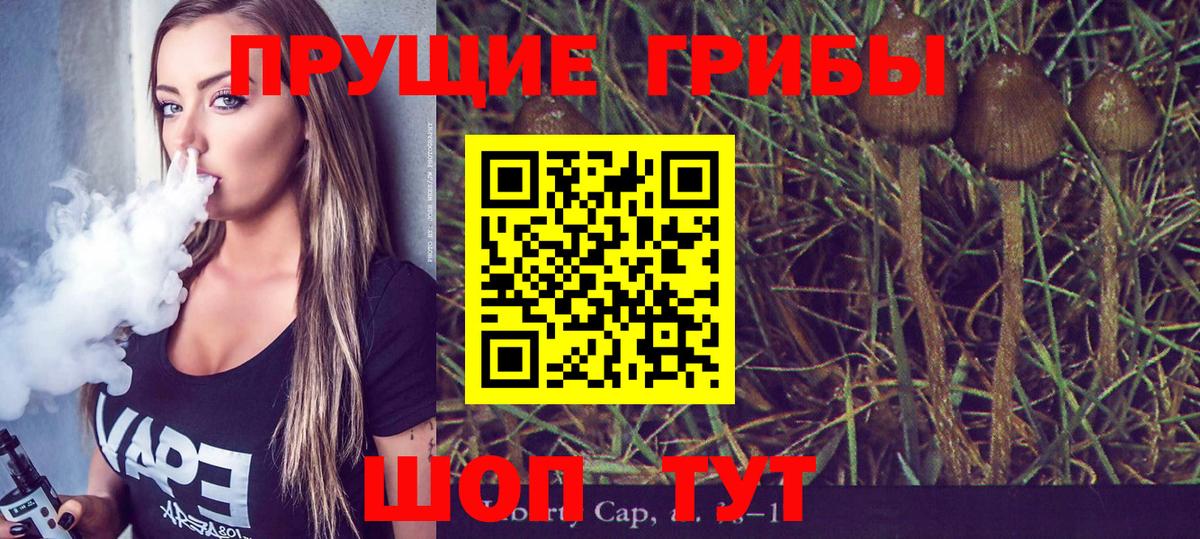 Псилоцибиновые грибы мухоморы  Вход с VPN  Губкин  Галлюциногенные грибы мухоморы 